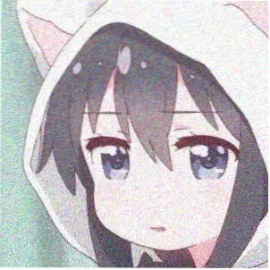 读者夜航西飞头像